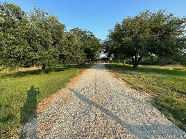 The drive through the oaks